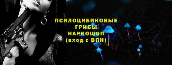 СК Козельск