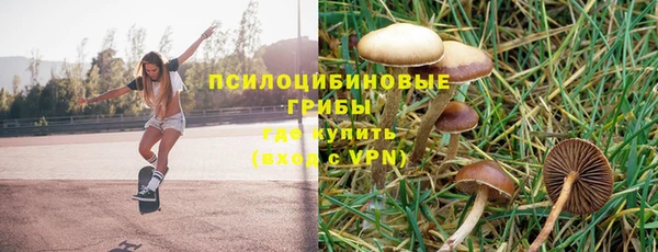MDMA Premium VHQ Козловка