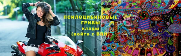 СК Козельск
