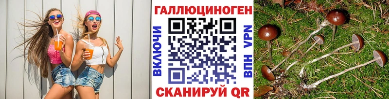 Псилоцибиновые грибы мицелий  Купить закладки  Сельцо 